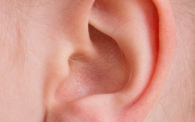 ear-gc8249b755_1920